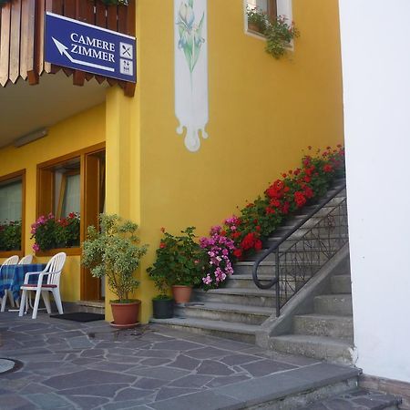 Albergo Ristorante Iris 奥伦佐卡多利 外观 照片